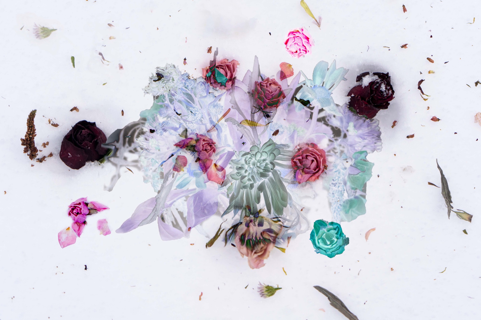 Mixed-media work on white