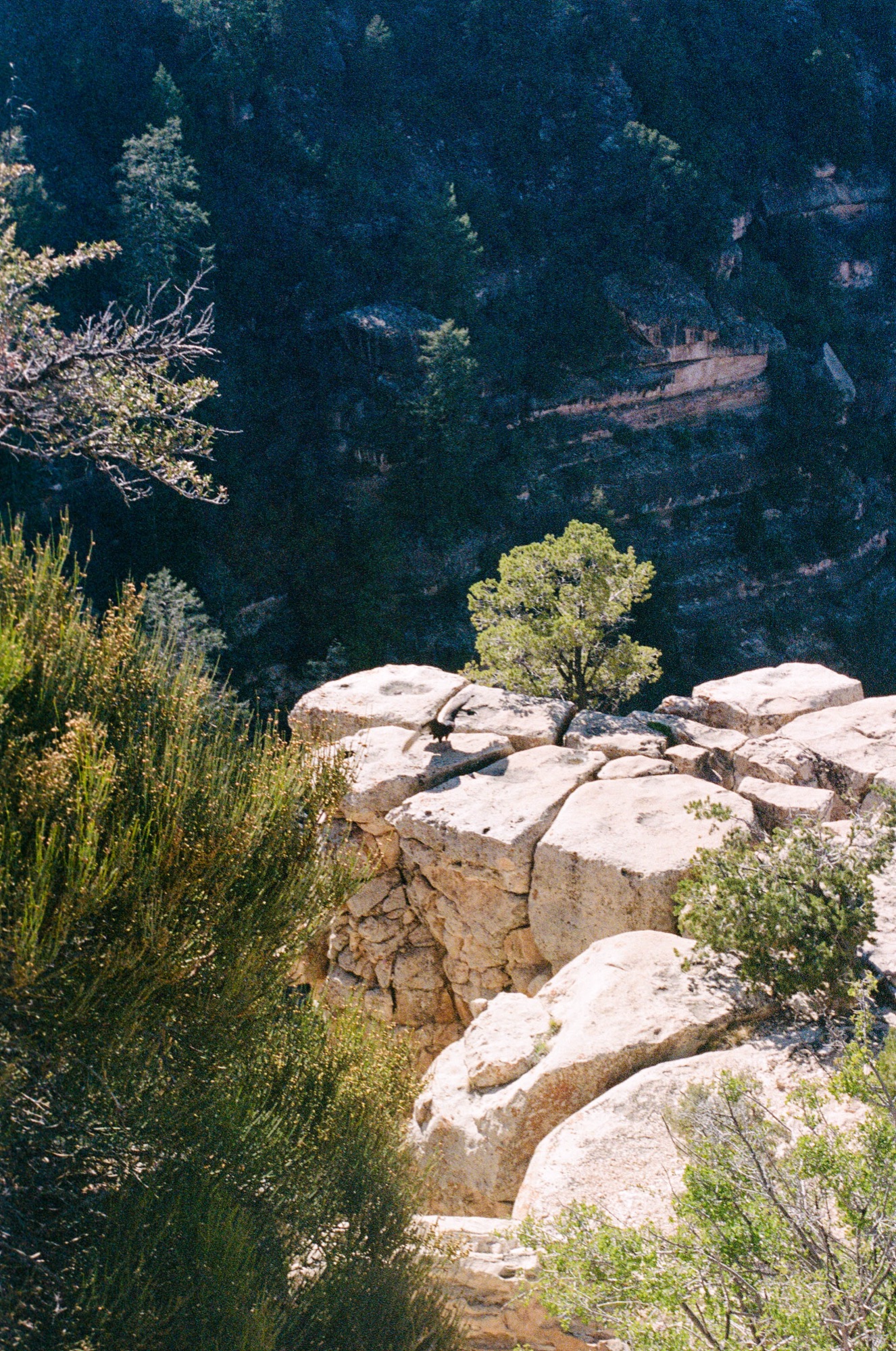 Landscape — stone wall and greenery