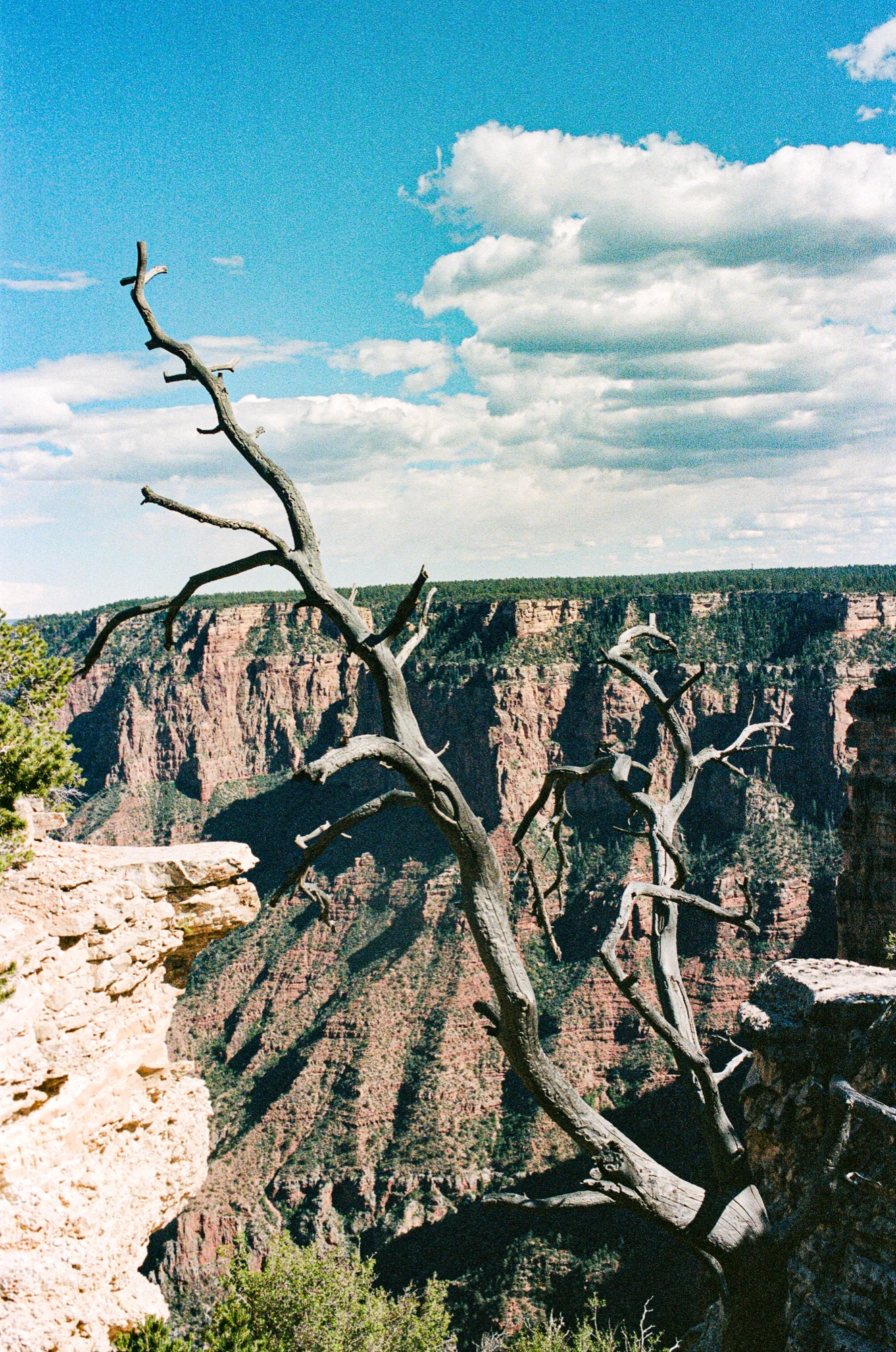 Landscape — desert canyon under a blue sky