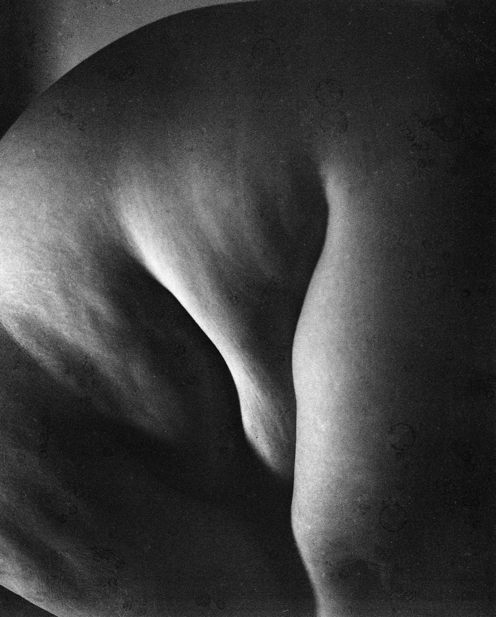 Black-and-white figure study