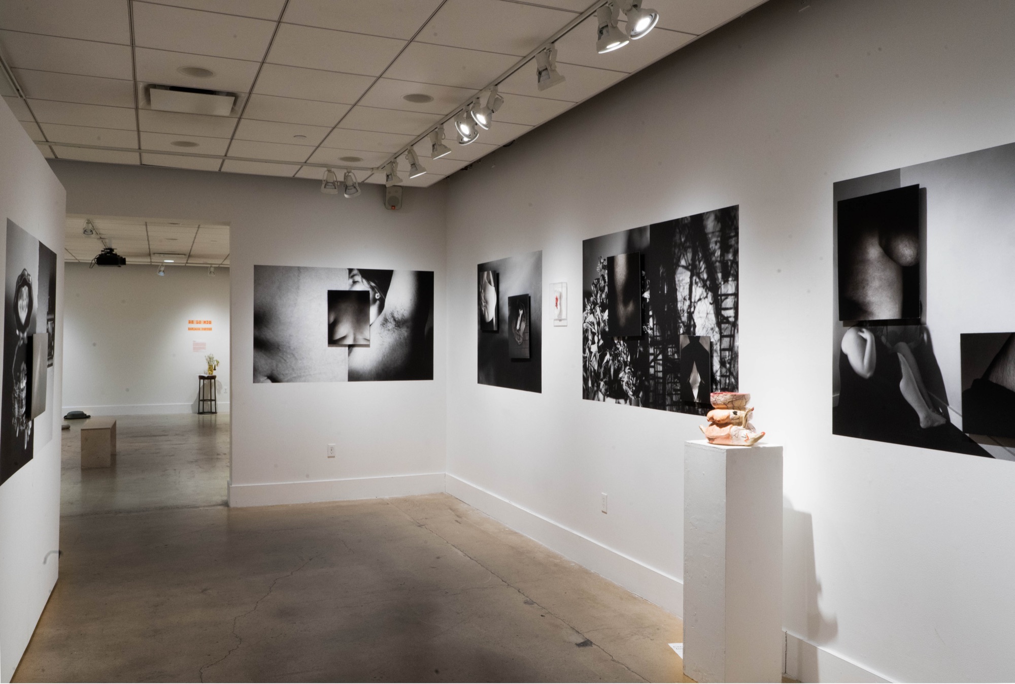 Installation view with bench