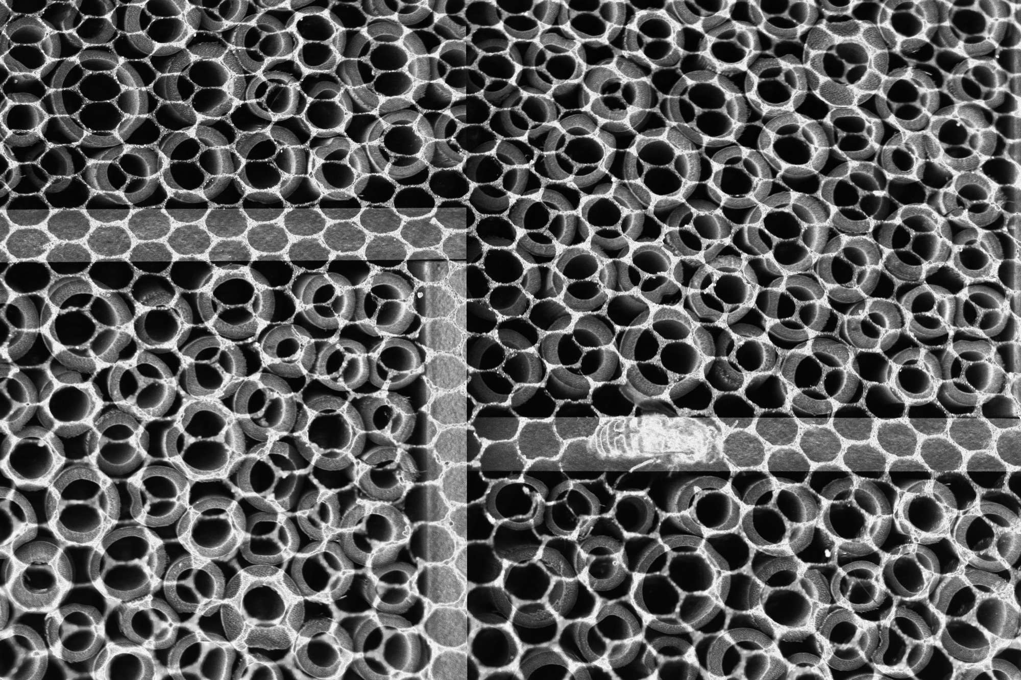 Dense abstract pattern