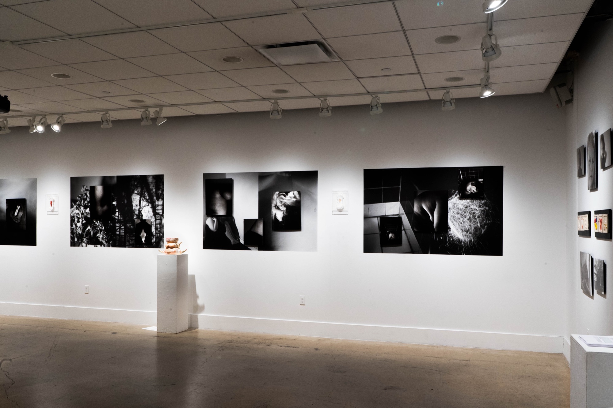Installation view, framed works and bench