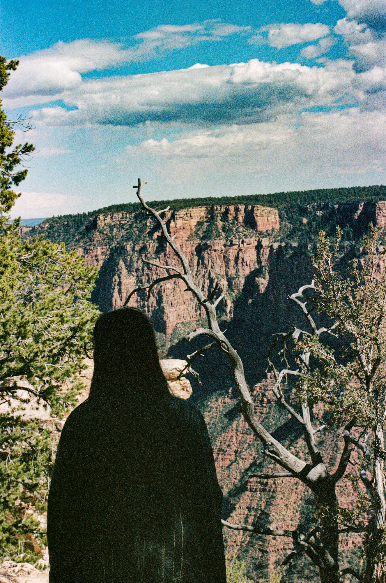 Landscape — a figure at the canyon rim
