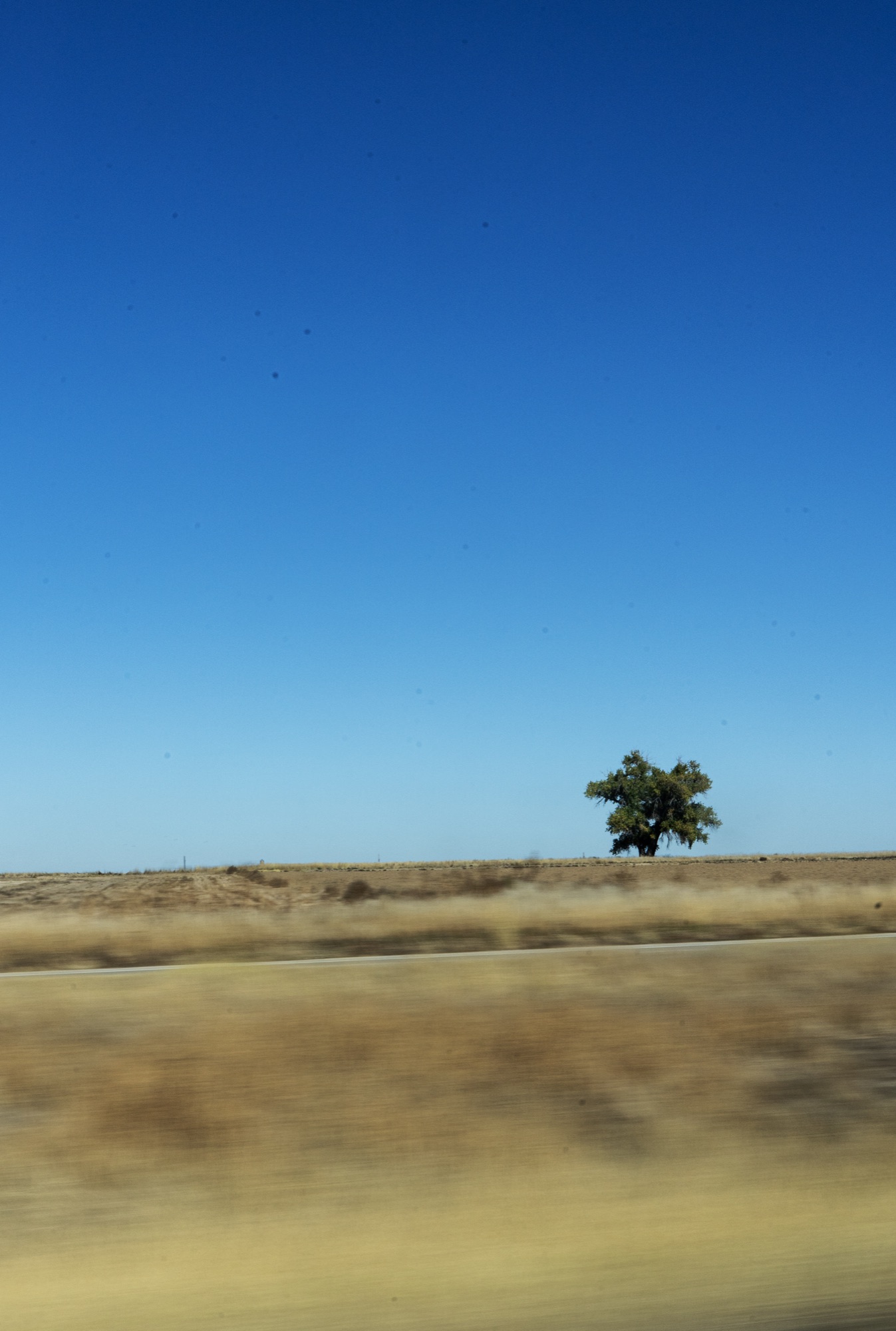 Landscape photograph