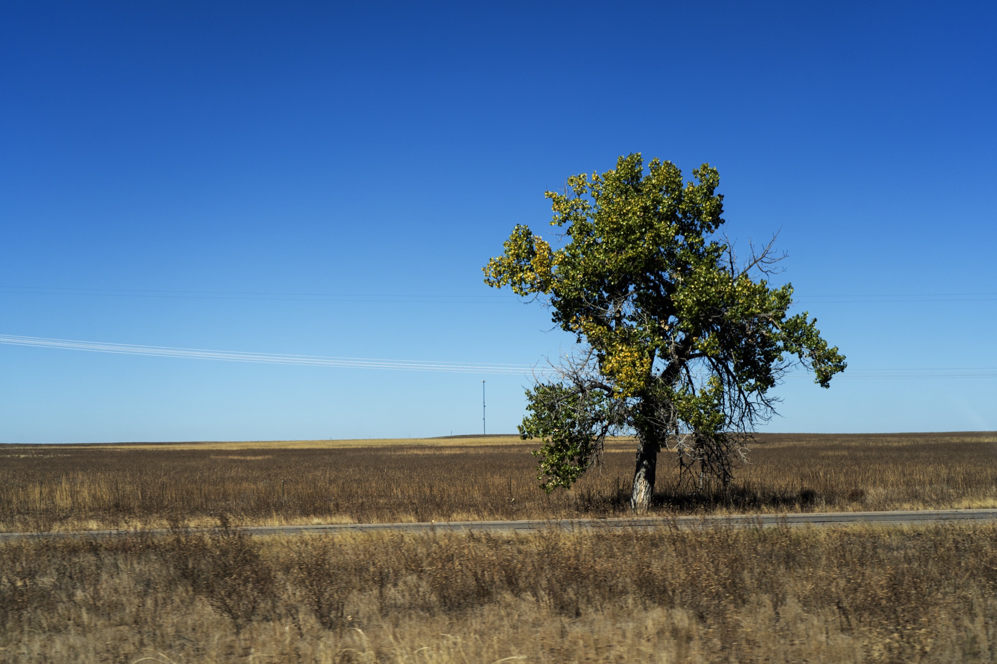 Landscape photograph