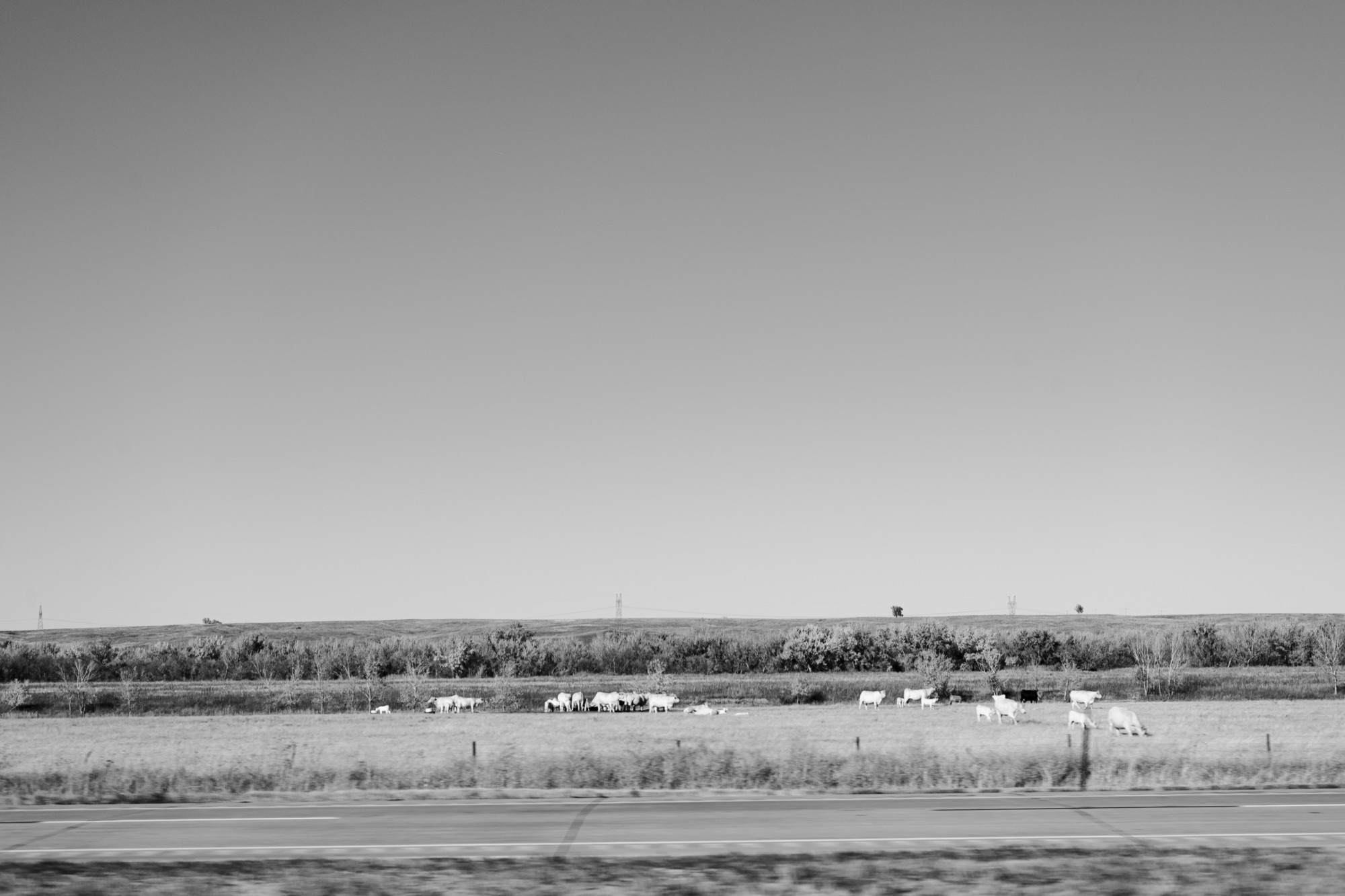 Landscape photograph