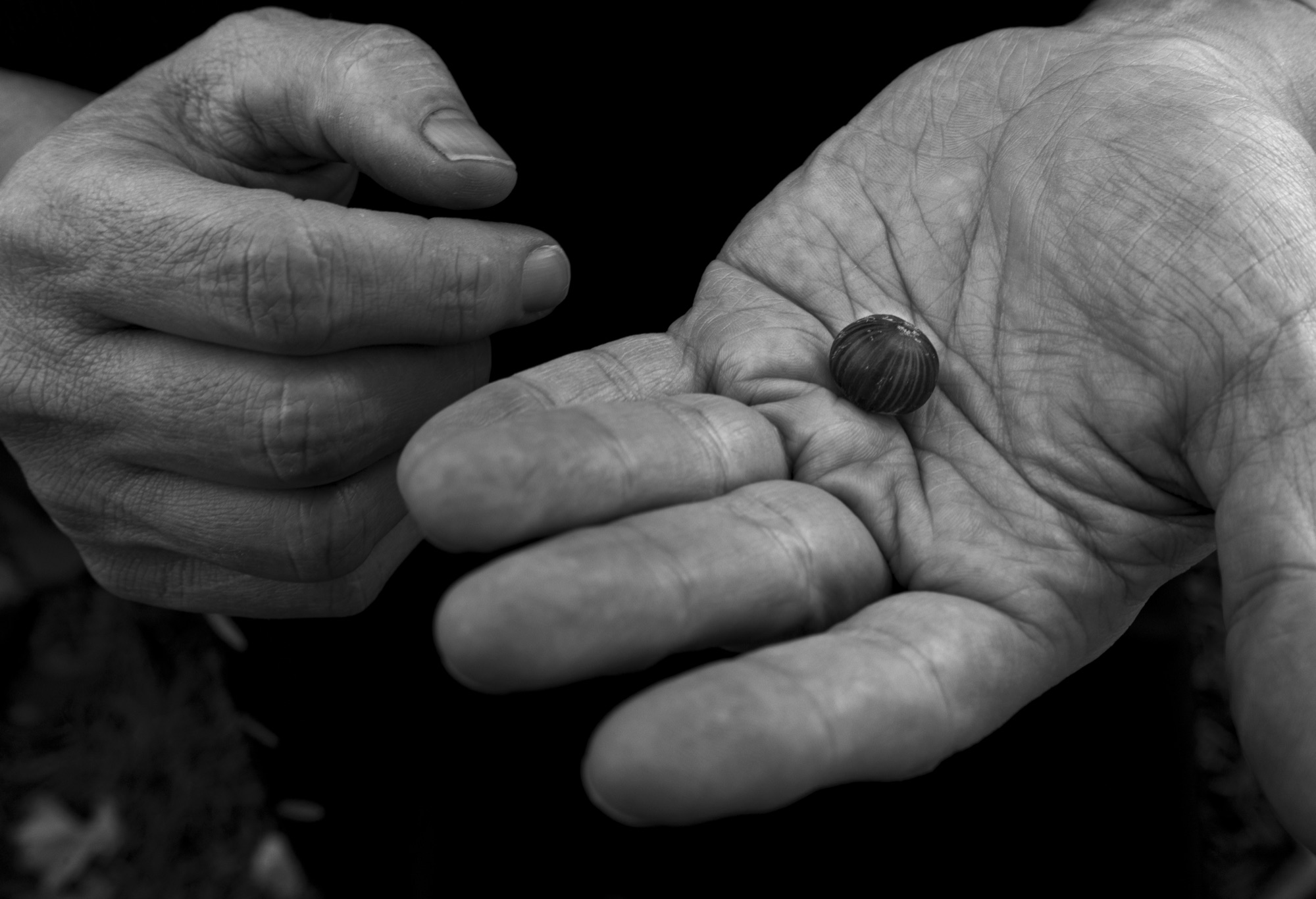 Black-and-white study of hands