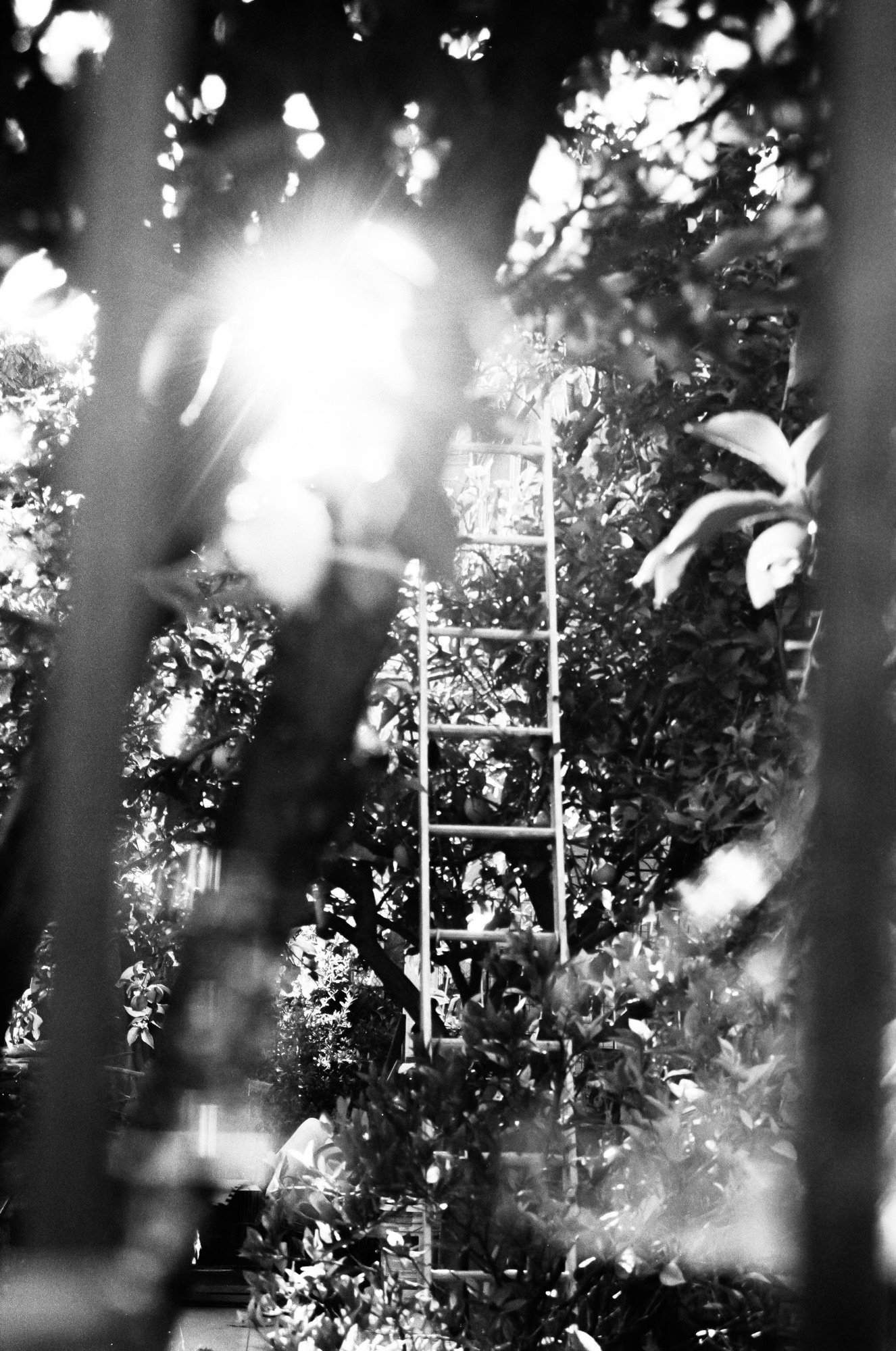 Landscape photograph
