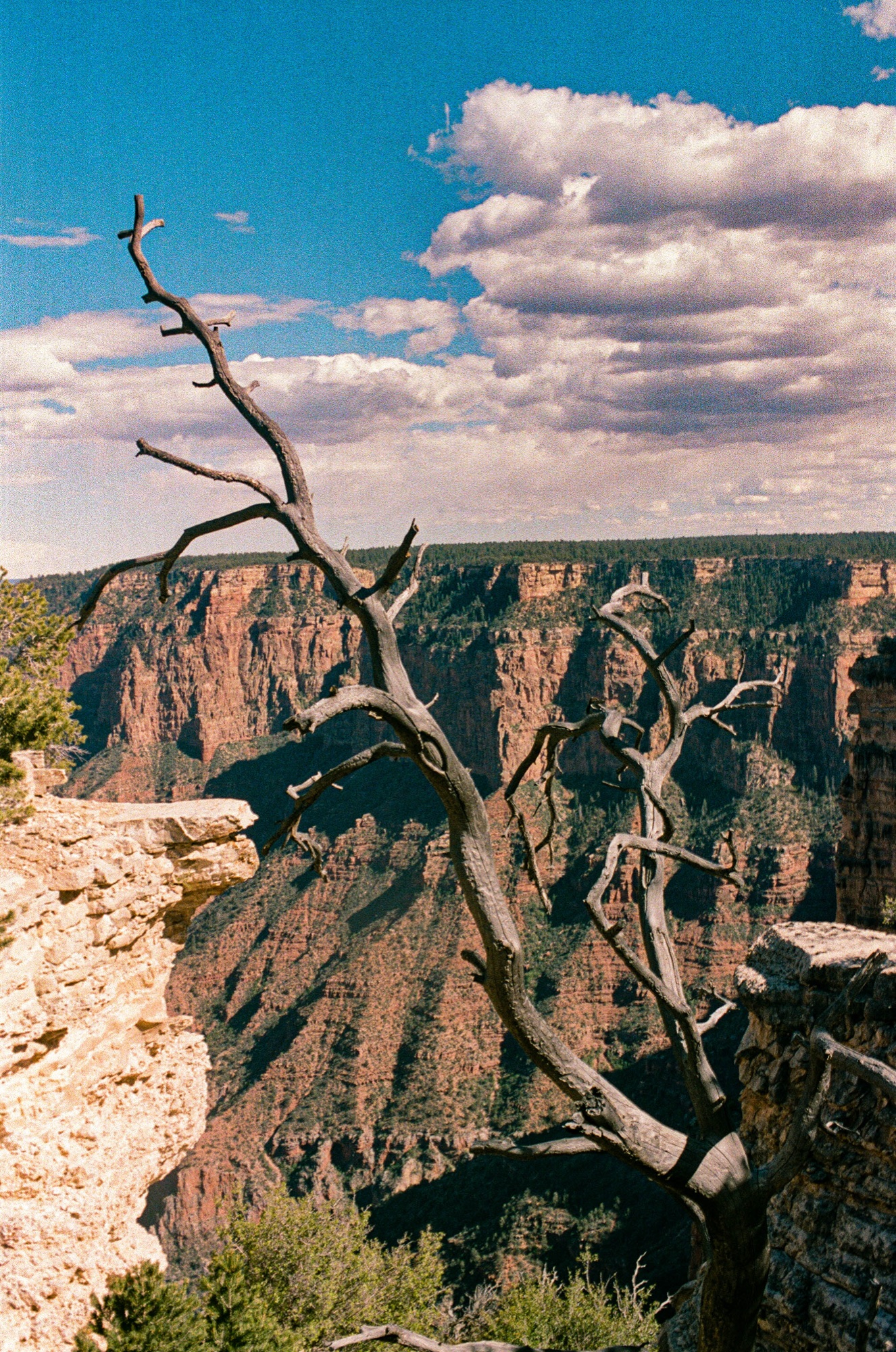 Landscape photograph