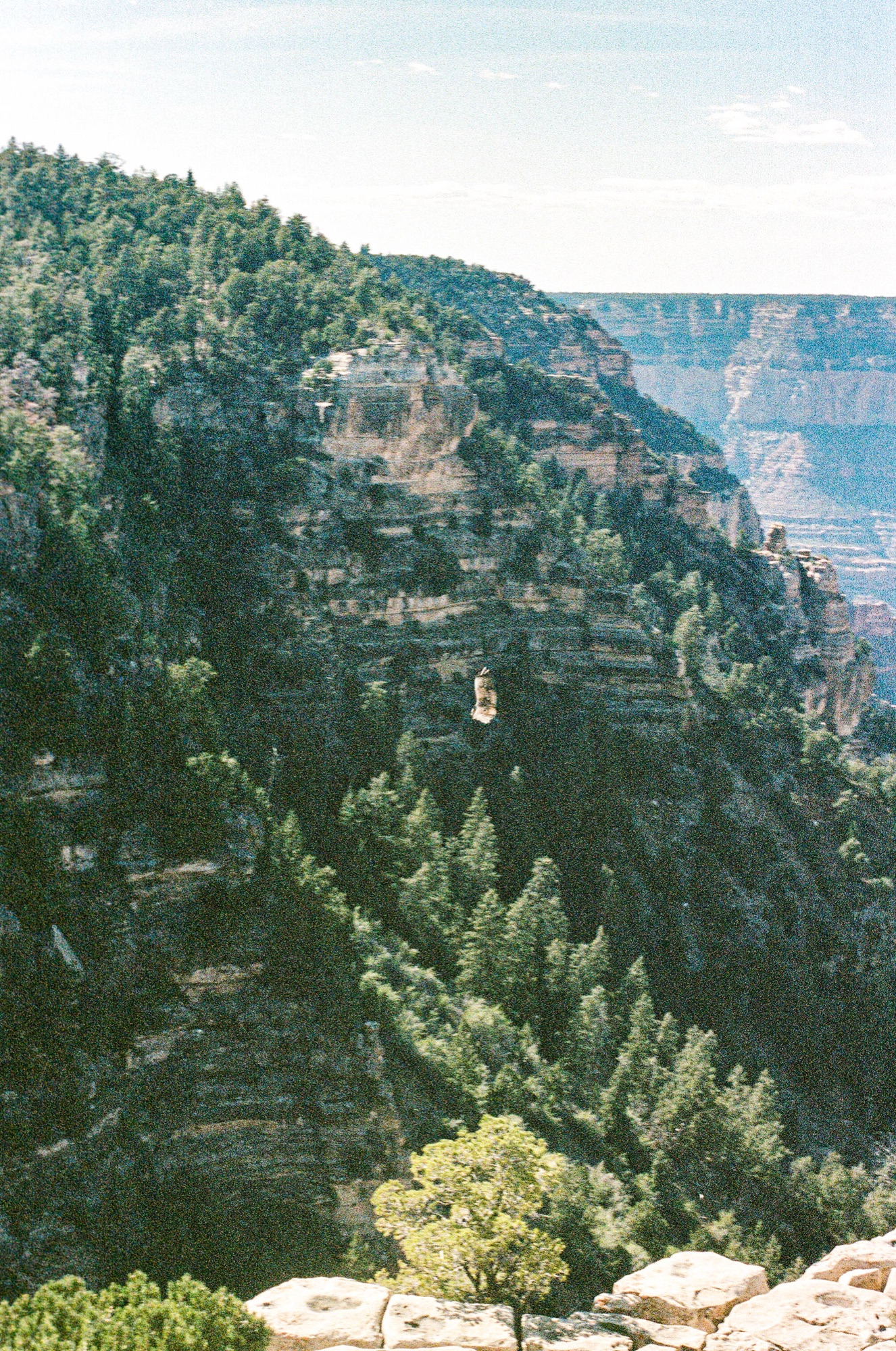 Landscape photograph