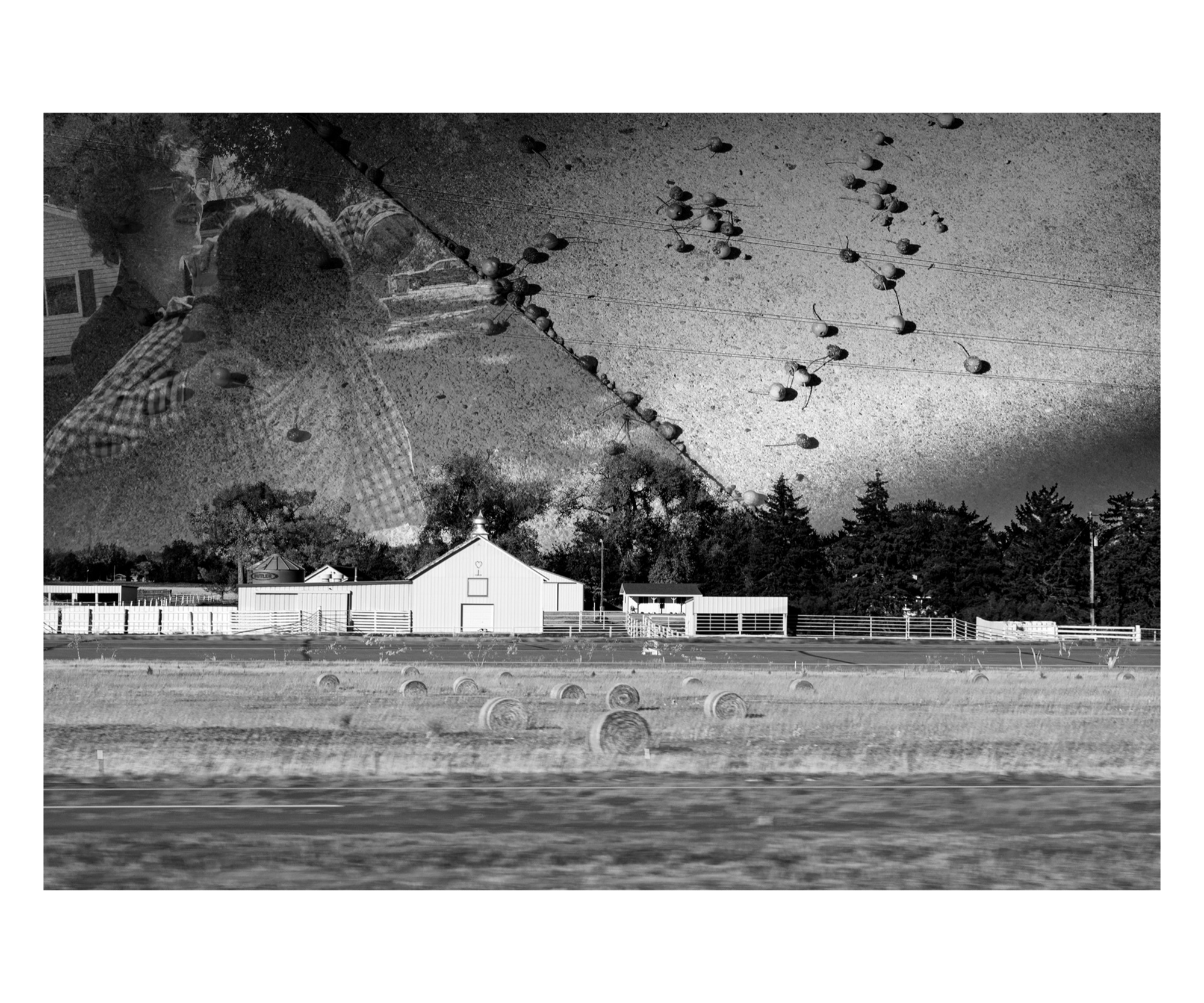 Landscape photograph